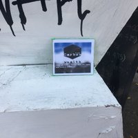 Ratty (@rattypdog) 's Twitter Profile