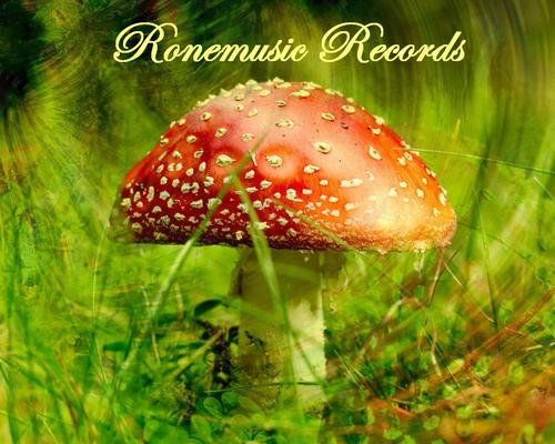 Ronemusic's profile picture. Ronemusic Records has fresh music in 2011! Check us out!