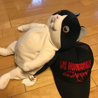 マッシュ (@noritw) 's Twitter Profile Photo マッシュ (@noritw) 's Twitter Profile Photo