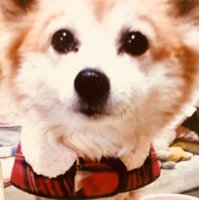ぷぅにゃん (@smapolo524ppk_s) 's Twitter Profile