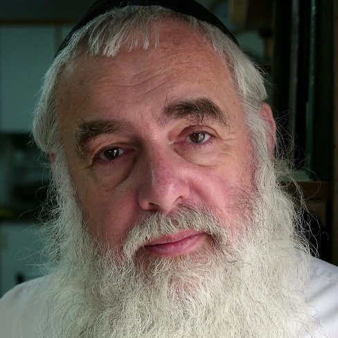 EliyahuRips's profile picture. Prof. Eliyahu Rips, Einstein Institute of Mathematics, Hebrew University of Jerusalem #TorahBibleCodes https://t.co/5GFTM8BJ30