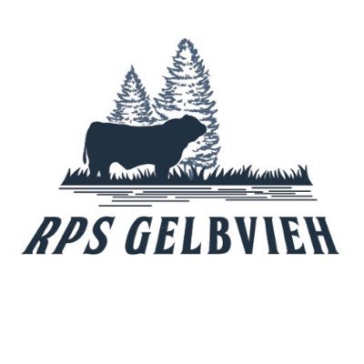 We raise purebred and commercial red and black Gelbvieh cattle. Our bulls are sold via private treaty off the farm.