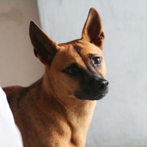 kurtzheng207's profile picture. 一个自干五！