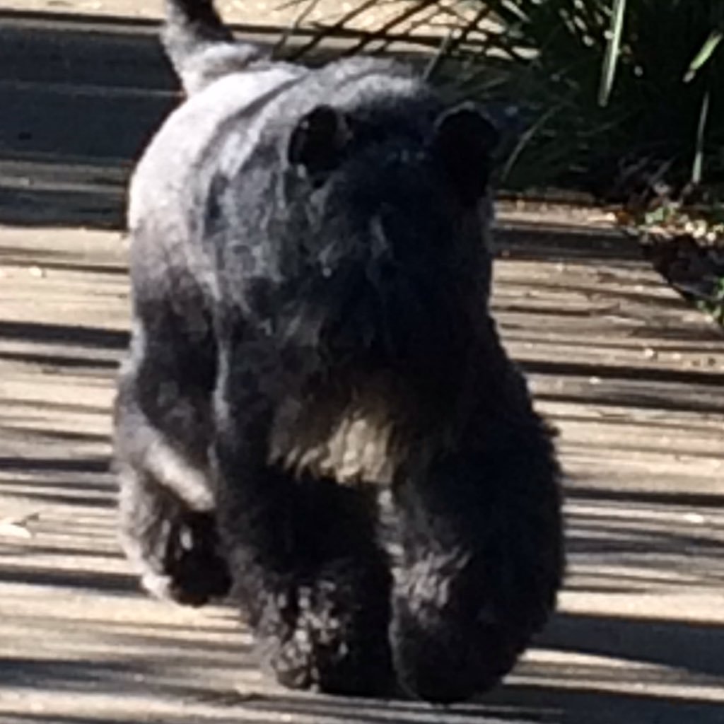 GeorgeMcfly46's profile picture. Gaming Cricket NRL Motorsport Food, beer