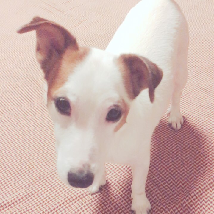 yamaset4395's profile picture. ただのオバハンです