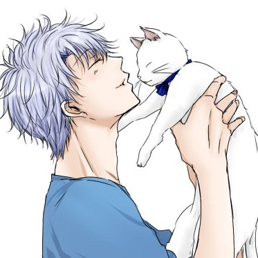 あおぐすさんのプロフィール画像