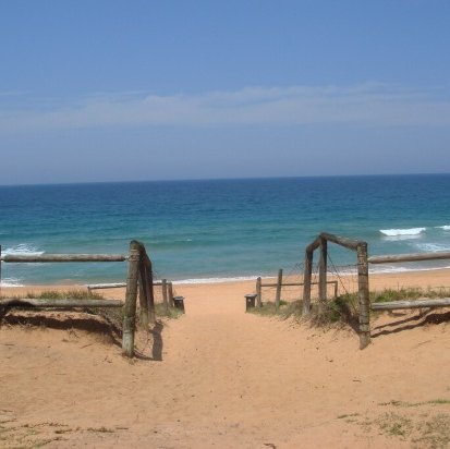 Dave_Holland1's profile picture. 