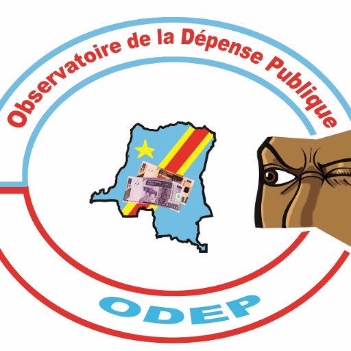 Observatoire de la Dépense Publique, plate formes des organisations de la société civile de la RDC, œuvrant dans la secteur des finances publiques