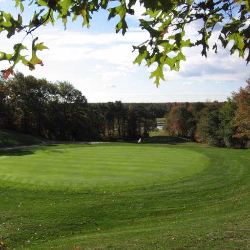 chrisutpg's profile picture. Owner of Up To Par Golf. Best golf lessons around!