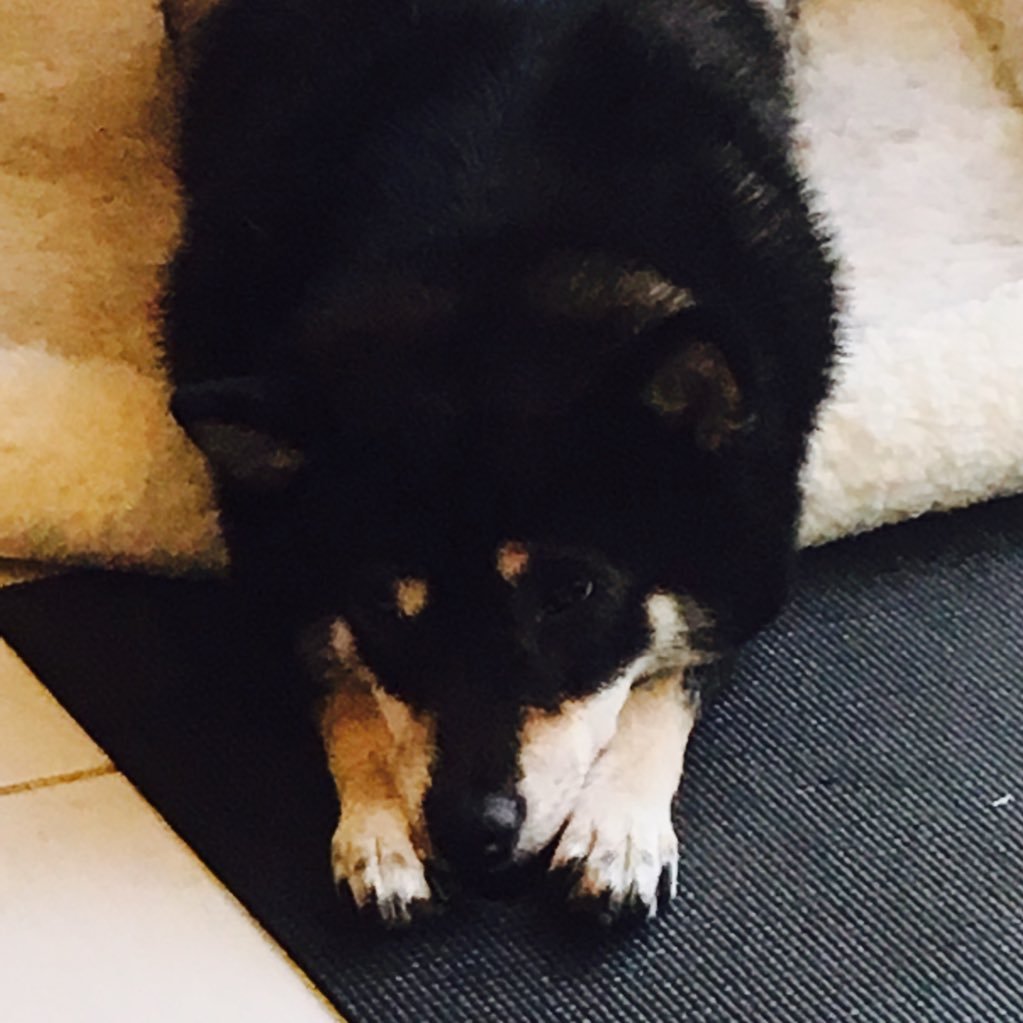 mao_AAA_rin's profile picture. 