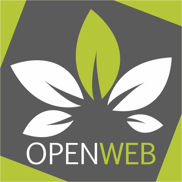 OpenWeb3's profile picture. OpenWeb è in grado di fornire soluzioni di Marketing, Comunicazione aziendale e commerciale e sviluppo Software con professionalità e competenza;