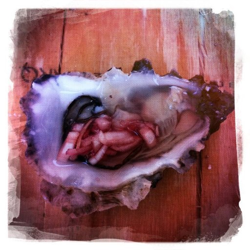 Oyster_Lady Profile Picture