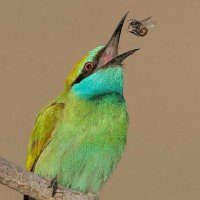 خاله عدنيه (@wz0jzyvk9clqynq) Twitter profile photo