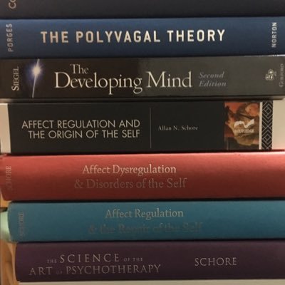『Polyvagal Theory』→Porges A.Schore:『Origin,Disorder,Repair,Art』 D.Siegel:『M&Brain,Therapist,DevelpM』 Cozolino『N&Human,PsychoThe』Panksepp『Affective, Archa…』 etc.