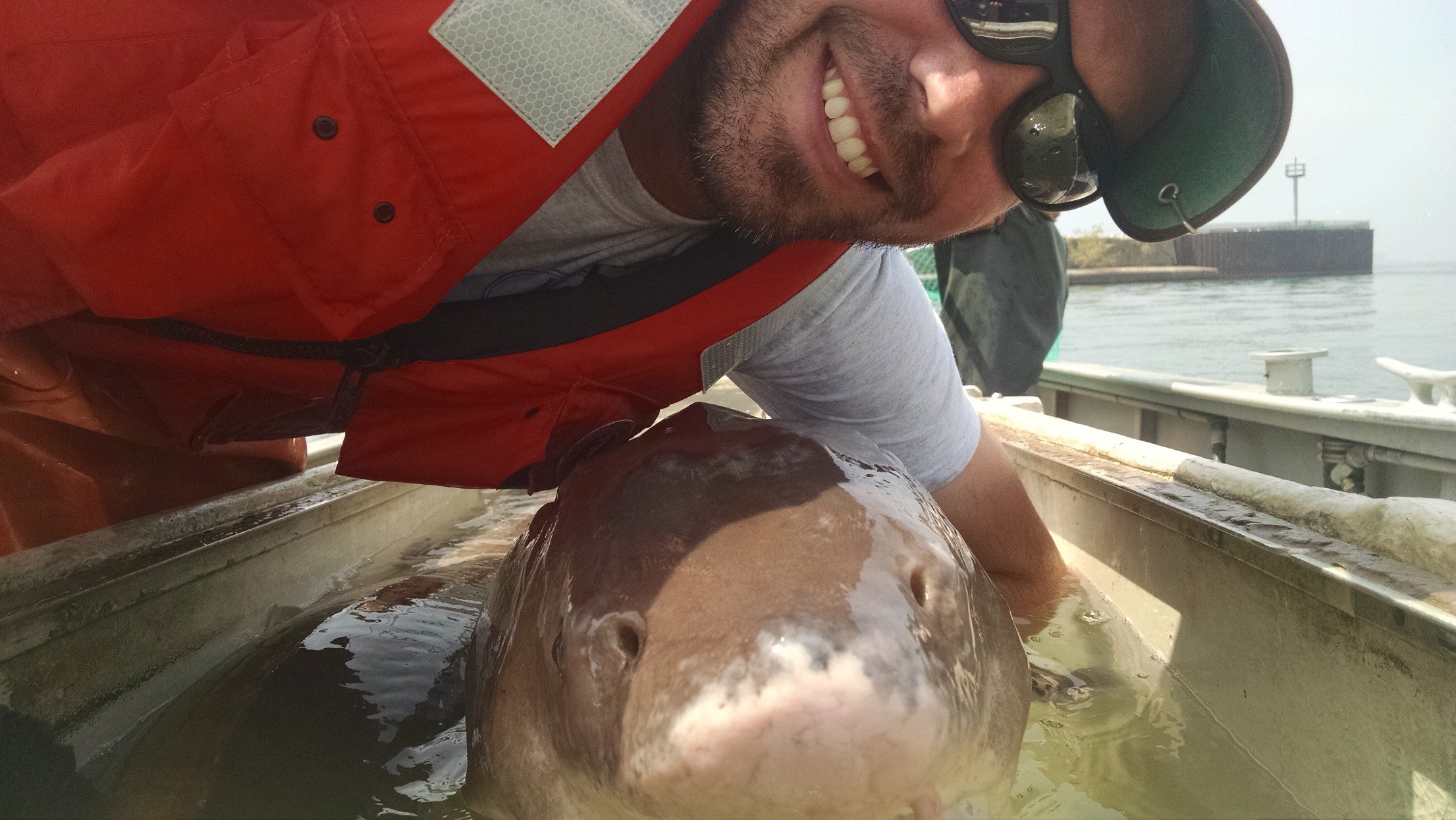 Platypi1980's profile picture. Fish biologist