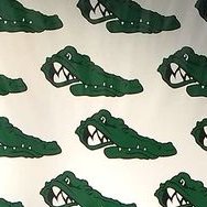 LHS Gator Athletics (@lhs_gators) 's Twitter Profile