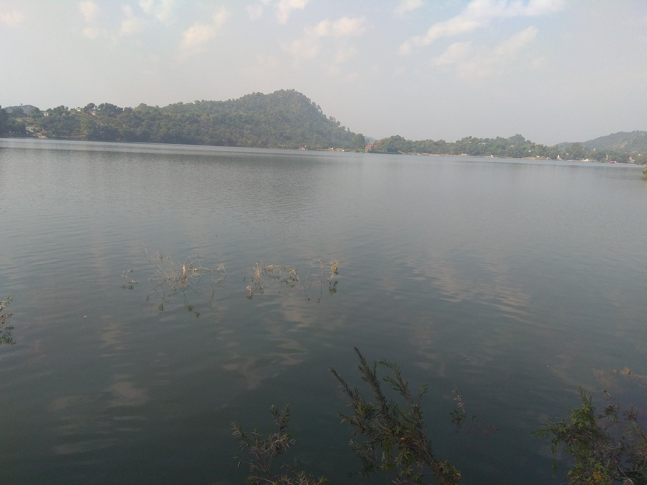 Sajidkh2973's profile picture. 