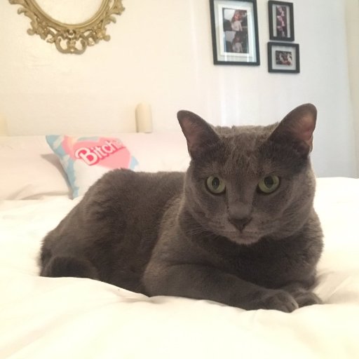 jcmadre75's profile picture. 