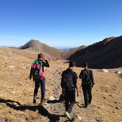 xectaylor9's profile picture. Qui estima Menorca no la destrueix