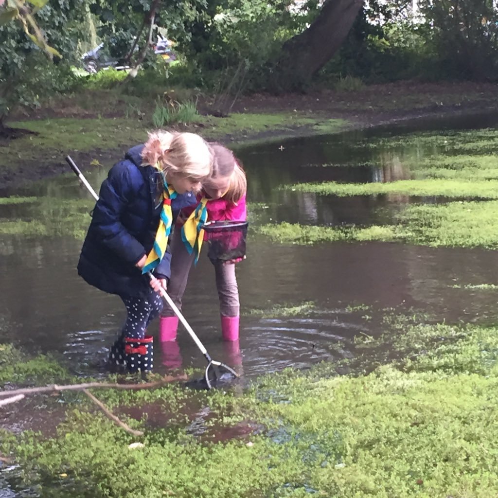 #Girlguiding Hersham District, #Rainbows #Brownies #Guides & #Rangers with #GirlsCan attitude. Try our #Campcraft Challenge!