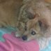 Eugenia (@eugenia2068) Twitter profile photo Eugenia (@eugenia2068) Twitter profile photo