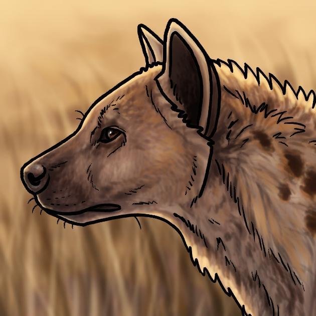 HyenaArma Profile Picture