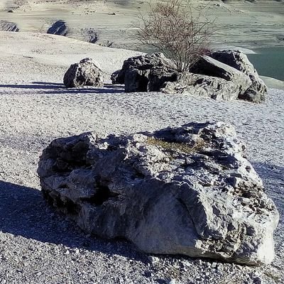 Stefano21892591's profile picture. Un’immagine vale più di mille parole