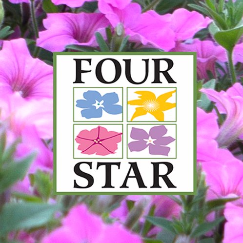 Four Star is the leading supplier of Proven Winners plants in North America