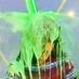 Unusual Videos (@unusualvideos) Twitter profile photo Unusual Videos (@unusualvideos) Twitter profile photo