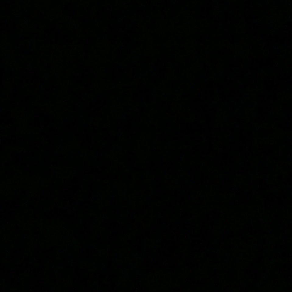 FArais__911's profile picture. 