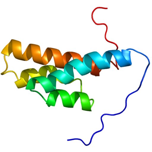 PostDoc @ Medical University Innsbruck | Interested in membrane trafficking, signal transduction | space flight enthusiast