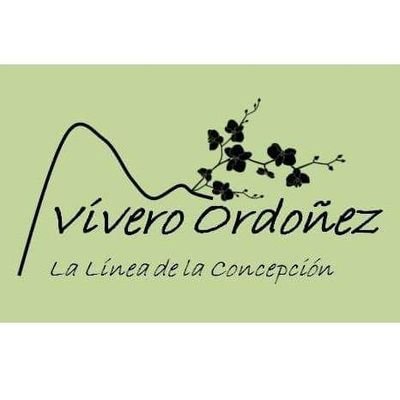 Plantas interior y exterior,cerámica,árboles,todo para el jardín,decoración,diseño,regalos..
Relax y Naturaleza.
Facebook:Vivero Ordoñez La Linea.
Tlf.956643320