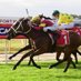 Port Macquarie Races (@port_races) Twitter profile photo Port Macquarie Races (@port_races) Twitter profile photo