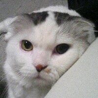 ゆゆ◆立山行くのか? (@yuyu0614) 's Twitter Profile Photo ゆゆ◆立山行くのか? (@yuyu0614) 's Twitter Profile Photo