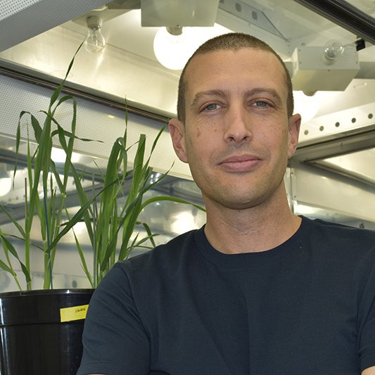 zoot2boot's profile picture. Post doctoral scientist at the UWA node of the Center of Excellence in Plant Energy Biology