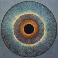 We Do Not Consent to Covid NWO (@say_non_now) 's Twitter Profile