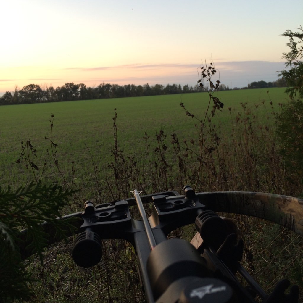 soybean ,corn .wheat, and seed corn grower in Essex and Kent county love to hunt and spend time with my 3 boys