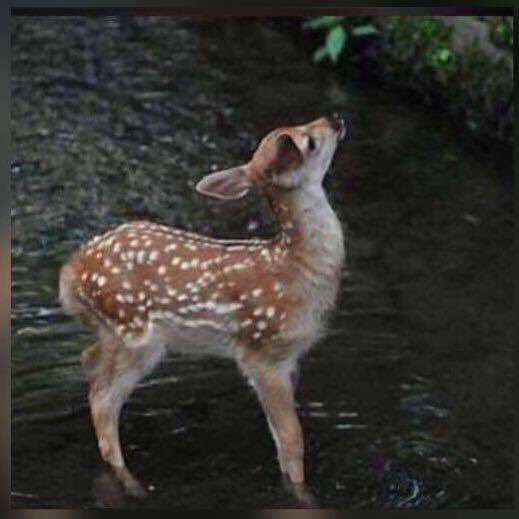 tFiZ3YOzgItCK0h's profile picture. أكْثِرْ مِن الإحسان إلى الناسِ قولاً وفعلاً، فإنّ الإحسانَ مصباحُ التوفيقِ...