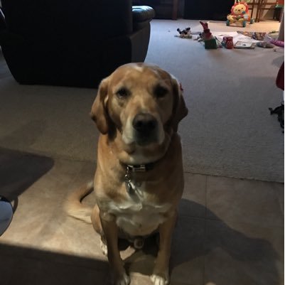 DRutled46819449's profile picture. 