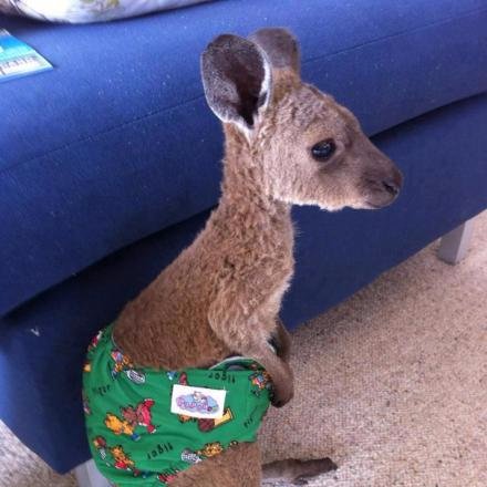 LeGaCy_003's profile picture. Sometimes things have to fall apart to make ways for better things.