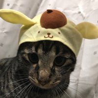 なめ子 (@024a23) Twitter profile photo