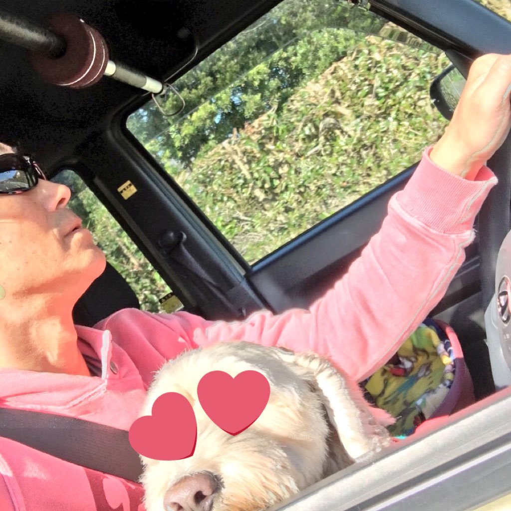 tcwY1swEVCcMOgB's profile picture. なんだかなぁ🏄🏻‍♀️かなぁ🤙🏻