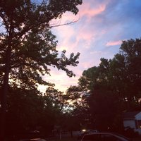 michele (@mic1966) 's Twitter Profile