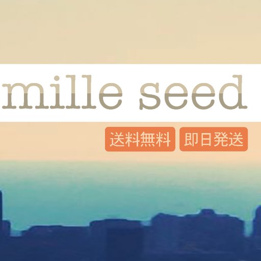 はじめまして!(^^)! WEBSHOPを運営しています♪
かわいい雑貨商品からメンズ、レディースのアパレル、アクセサリー等を幅広く取り扱っています。