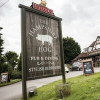 Hampshire Hog (@hampshirehogpo8) 's Twitter Profile