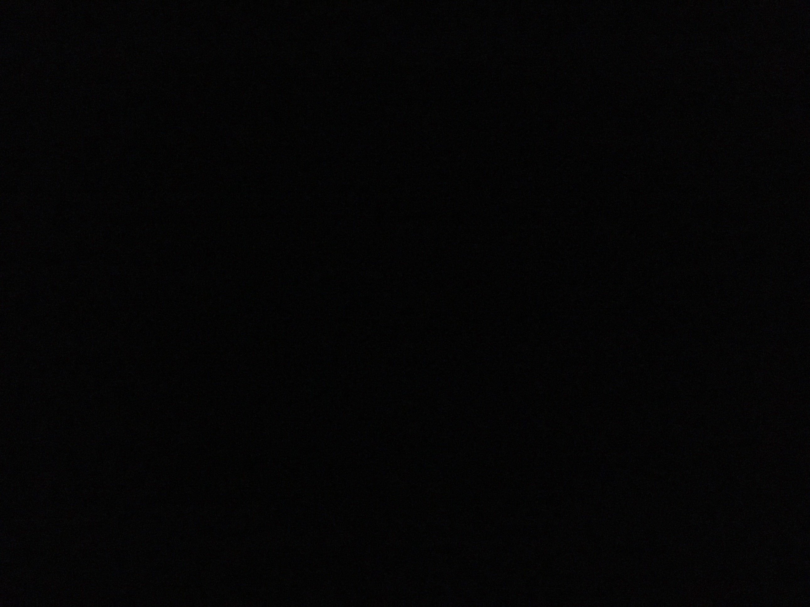 bautshell's profile picture. 