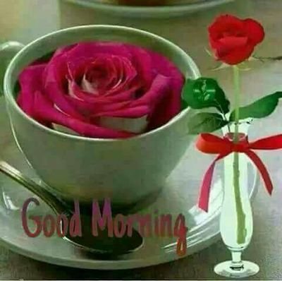 hamza60144114's profile picture. 