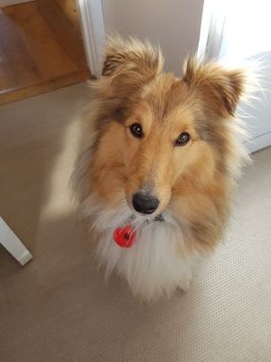 PamelaW2000's profile picture. 