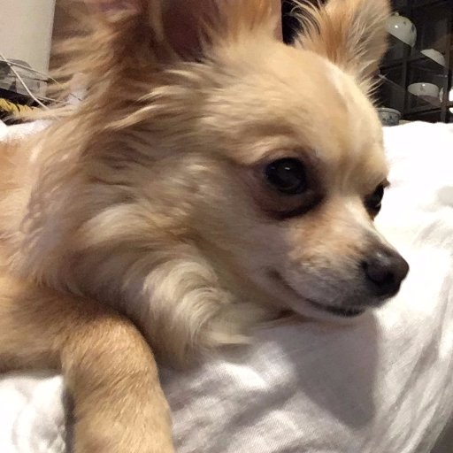 norimura114's profile picture. ReactやRuby書く人になる予定 C#やFlutter for windowsも好き