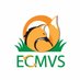 PPG-ECMVS/UFMG (@ppgecmvs) Twitter profile photo